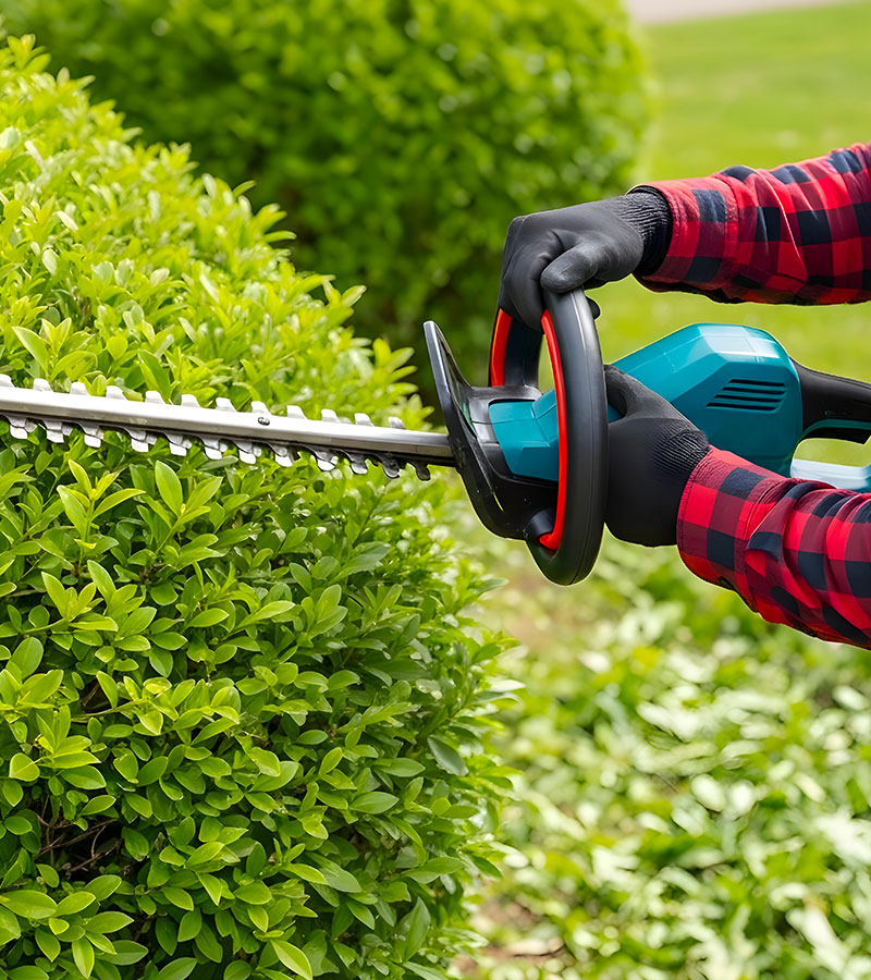 Entretien de haies à Les Pavillons-sous-Bois en Seine-Saint-Denis (93) contactez Paul & Francois Élagage