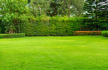 Entretien d’espaces vert à Les Pavillons-sous-Bois