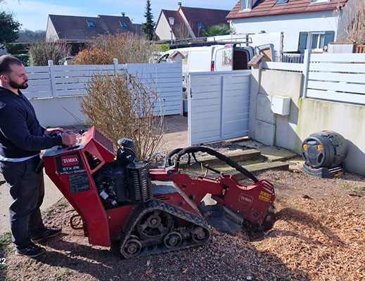 Pour l'entretien de vos espaces verts en Seine-Saint-Denis (93) contactez Paul & Francois Élagage à Les Pavillons-sous-Bois
