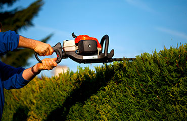 Taille de Haies à Les Pavillons-sous-Bois (93320) - Paul & Francois Élagage dans le Seine-Saint-Denis